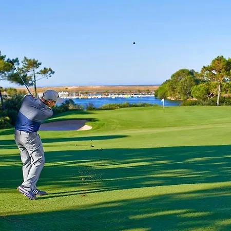 #099 T1 Calicos By Holidays