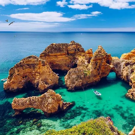 #099 T1 Calicos By Holidays *