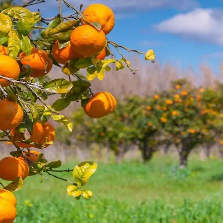 Апартаменты #099 T1 Calicos By Holidays Албуфейра