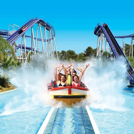 #099 T1 Calicos By Holidays *