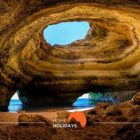#099 T1 Calicos By Holidays *