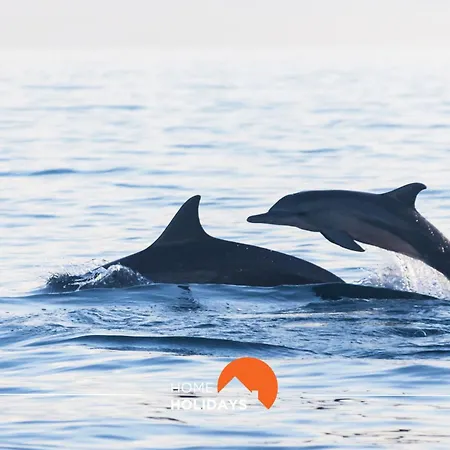 #099 T1 Calicos By Holidays Апартаменты *