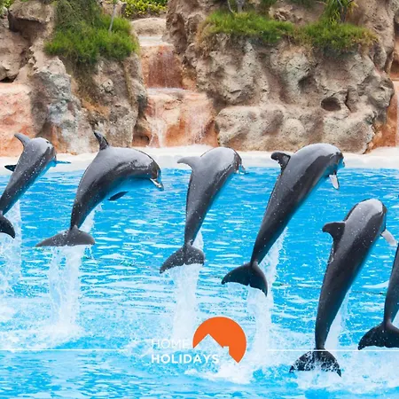 #099 T1 Calicos By Holidays Албуфейра