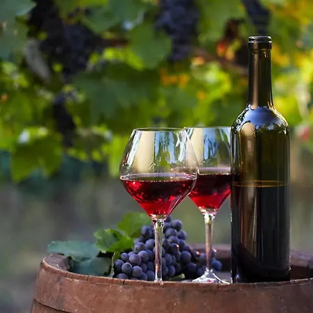 #099 T1 Calicos By Holidays *