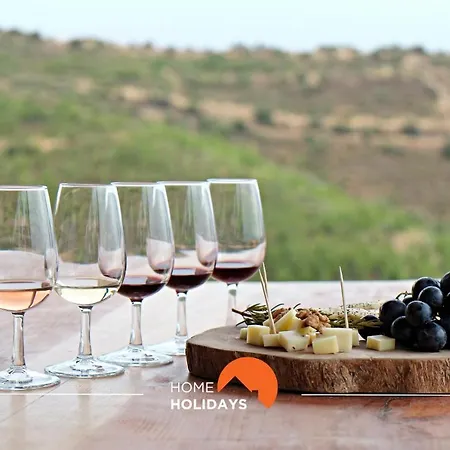 #099 T1 Calicos By Holidays